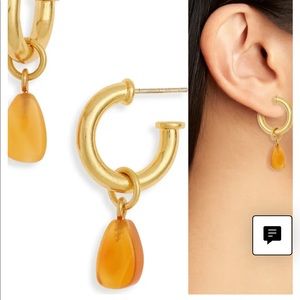 Madewell Carnelian Charm Chunky Small Hoop Earrings